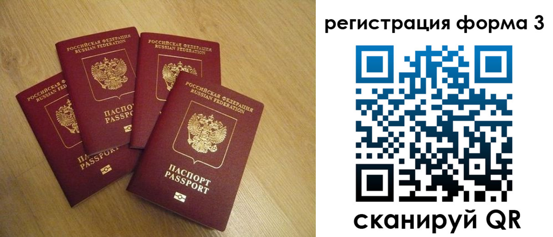 прописка для школы в Королёве